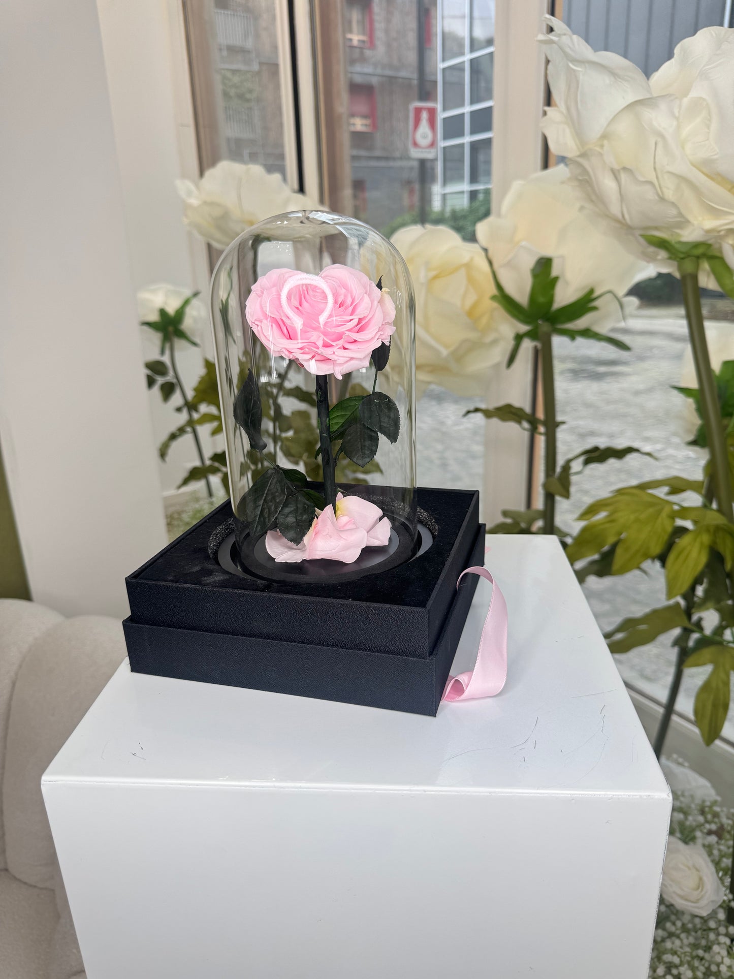 Cloche rose eternelle sous boite