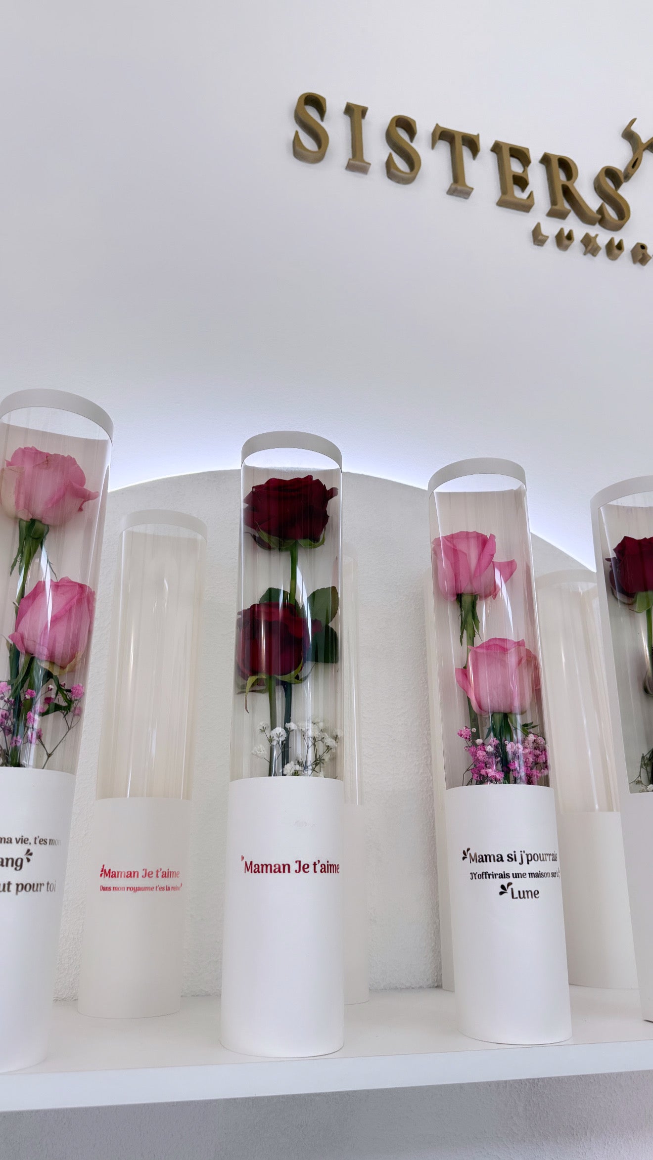 Rose en tube