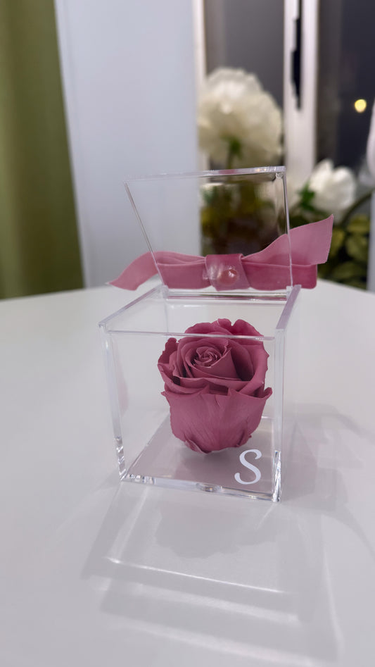 Cube rose eternelle