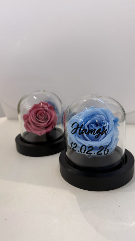 Petite Cloche rose eternelle