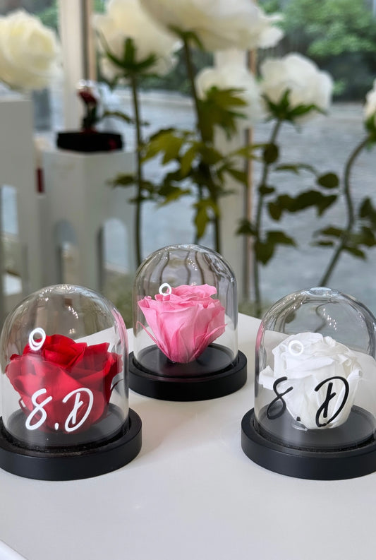Mini Cloche rose rouge eternelle