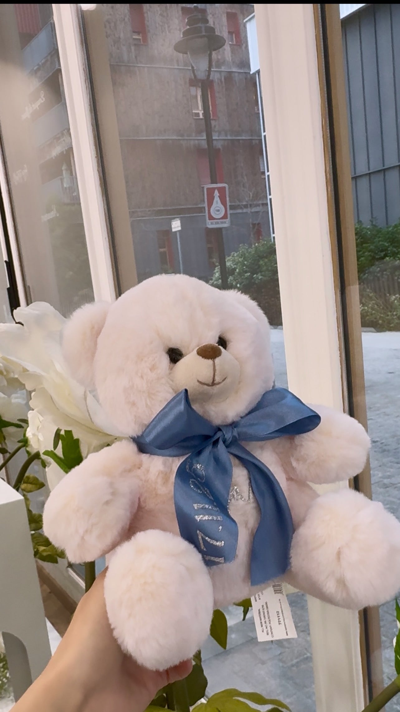 Nounours Ted