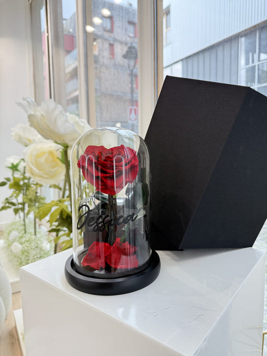 Cloche rose eternelle sous boite